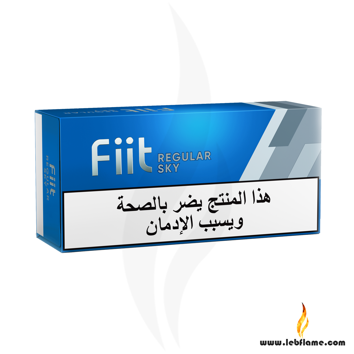 Fiit Regular Sky
